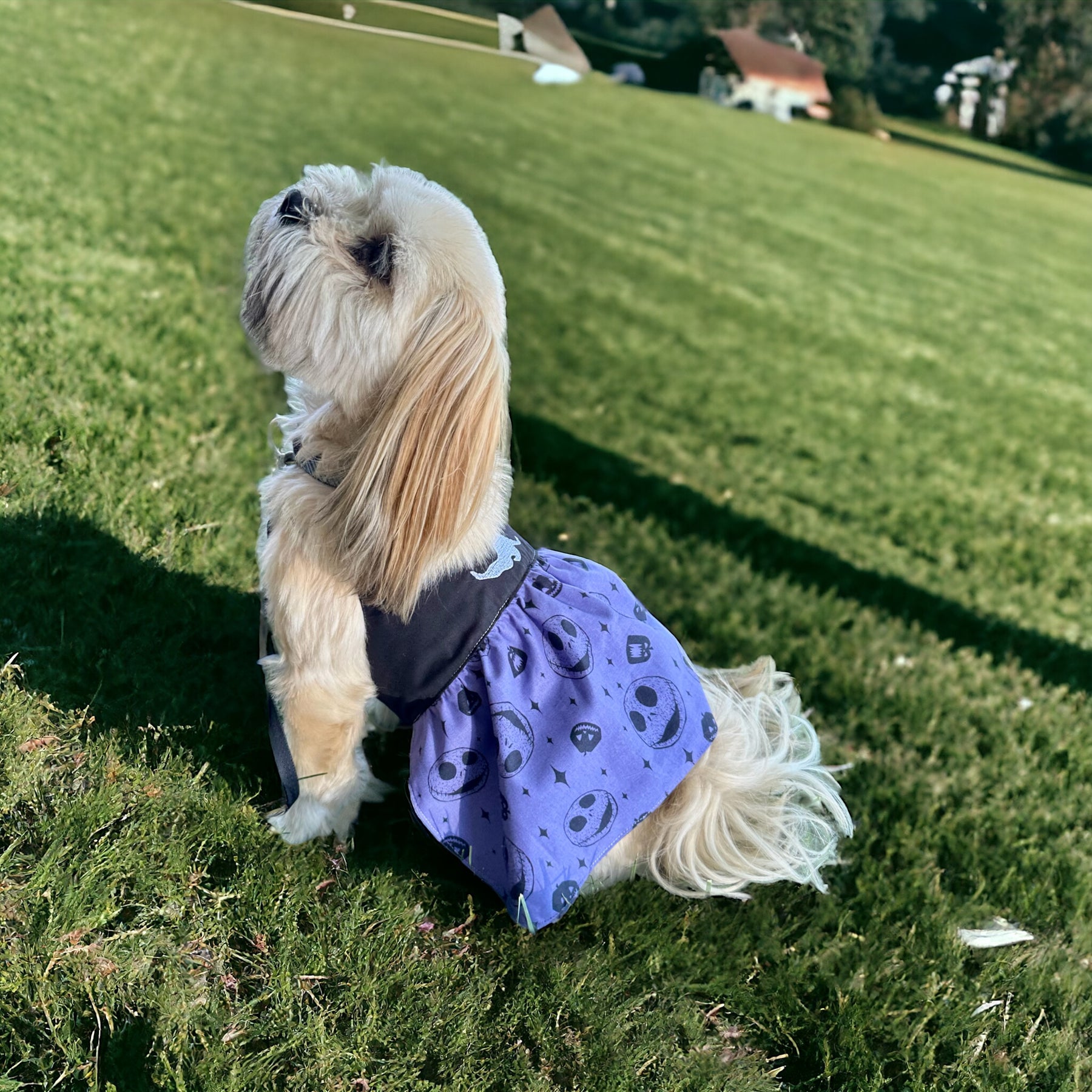 Trixie Reversible Pet Dress