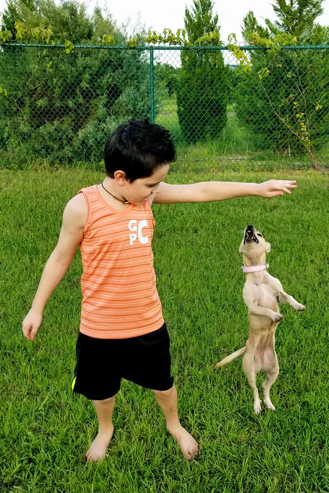 Boy's Great Adventure Tank Top Pattern - Ellie and Mac, Digital (PDF) Sewing Patterns | USA, Canada, UK, Australia