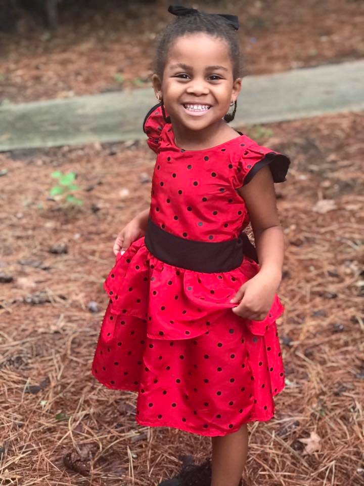 Holiday Cheer Dress Pattern