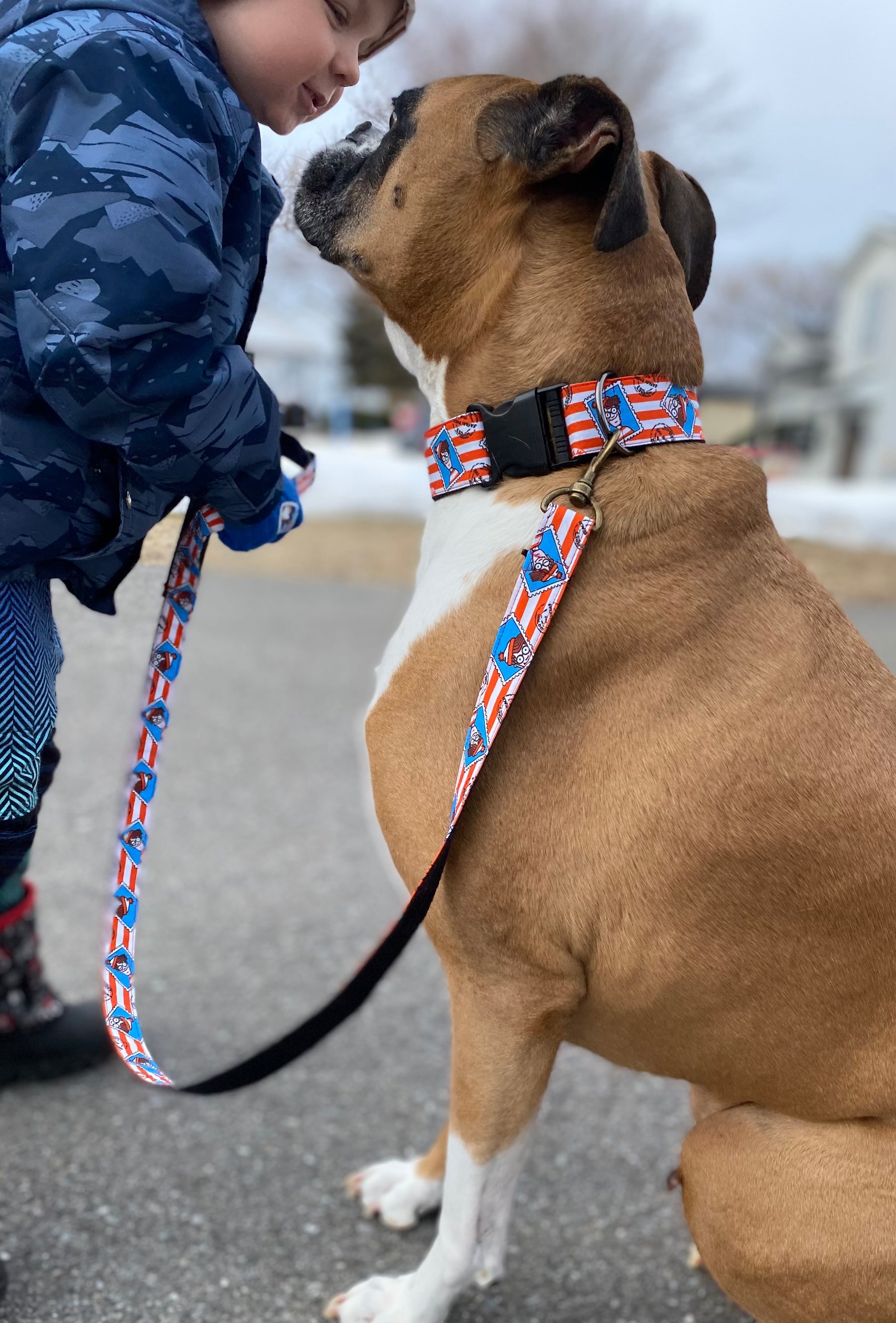 Fur Baby Pet Collar & Lead Pattern