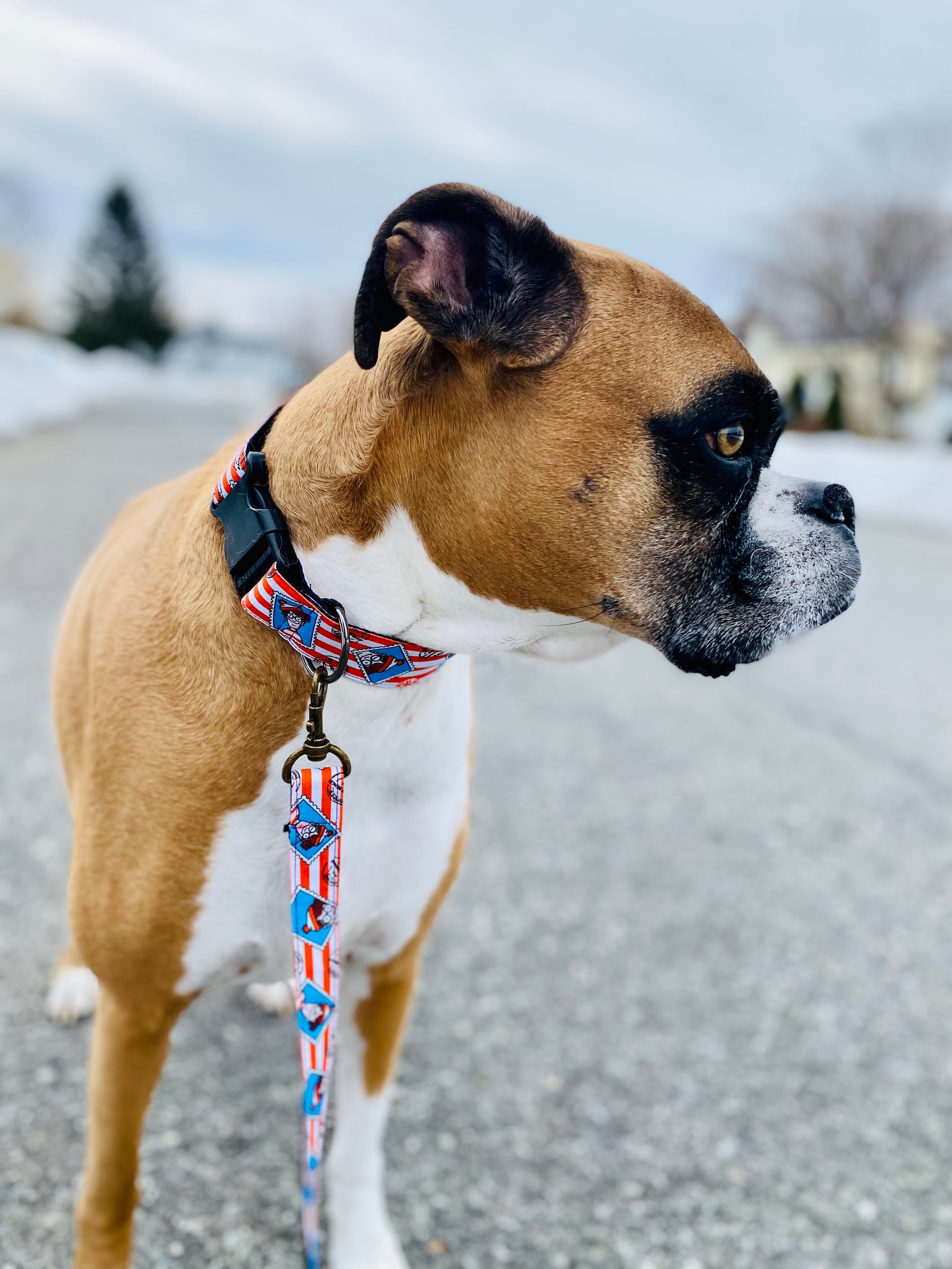 Fur Baby Pet Collar & Lead Pattern