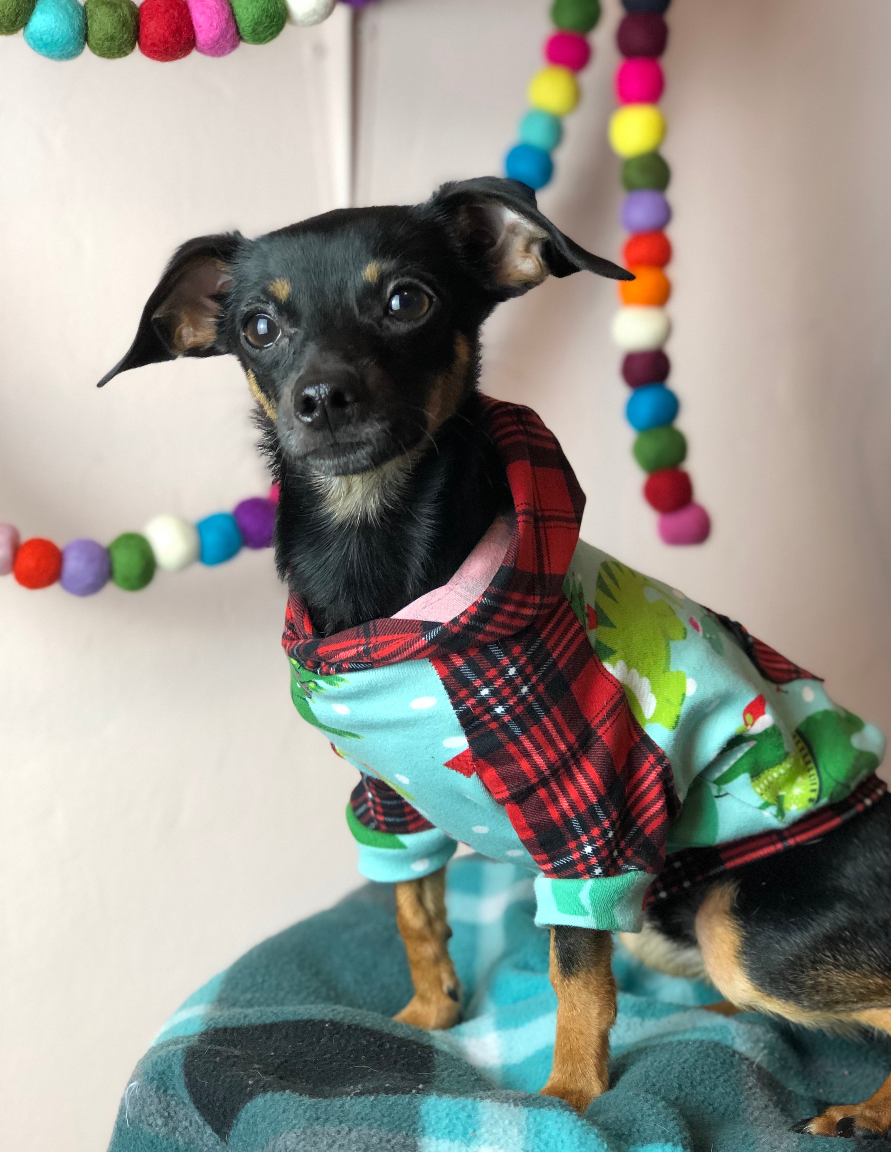 Hoodie Dog Sweater Sewing Pattern