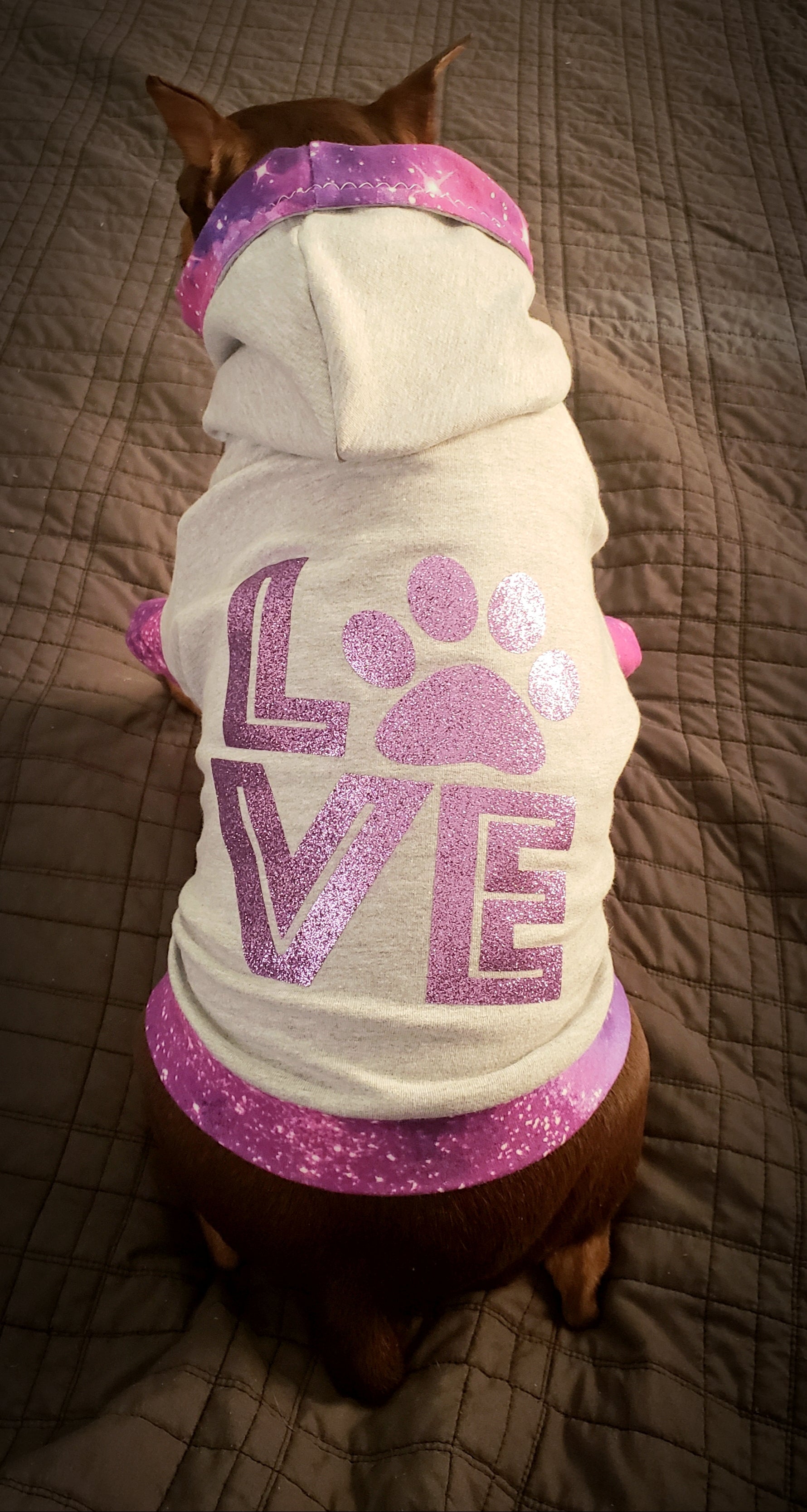 Hoodie Dog Sweater Sewing Pattern