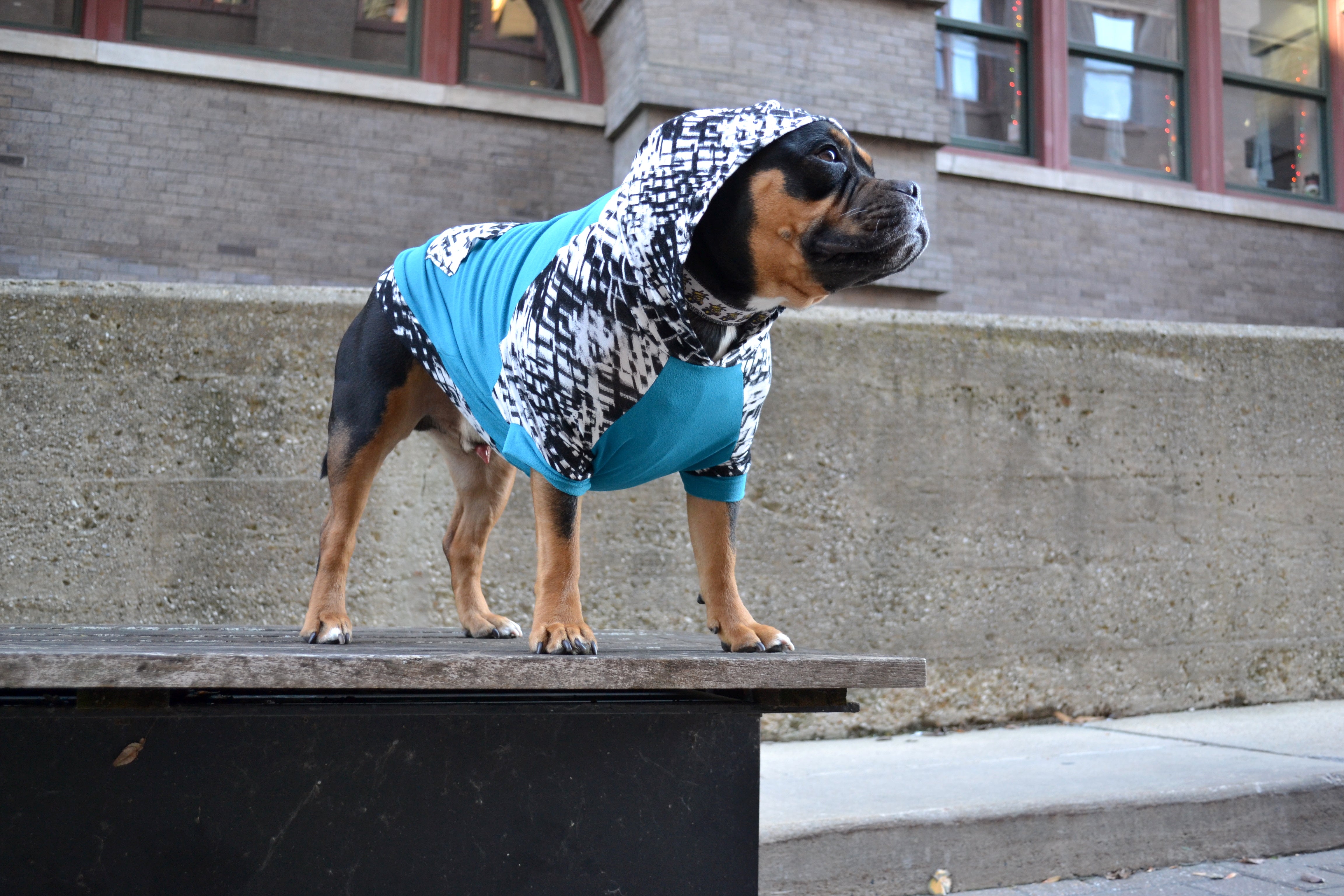 Hoodie Dog Sweater Sewing Pattern