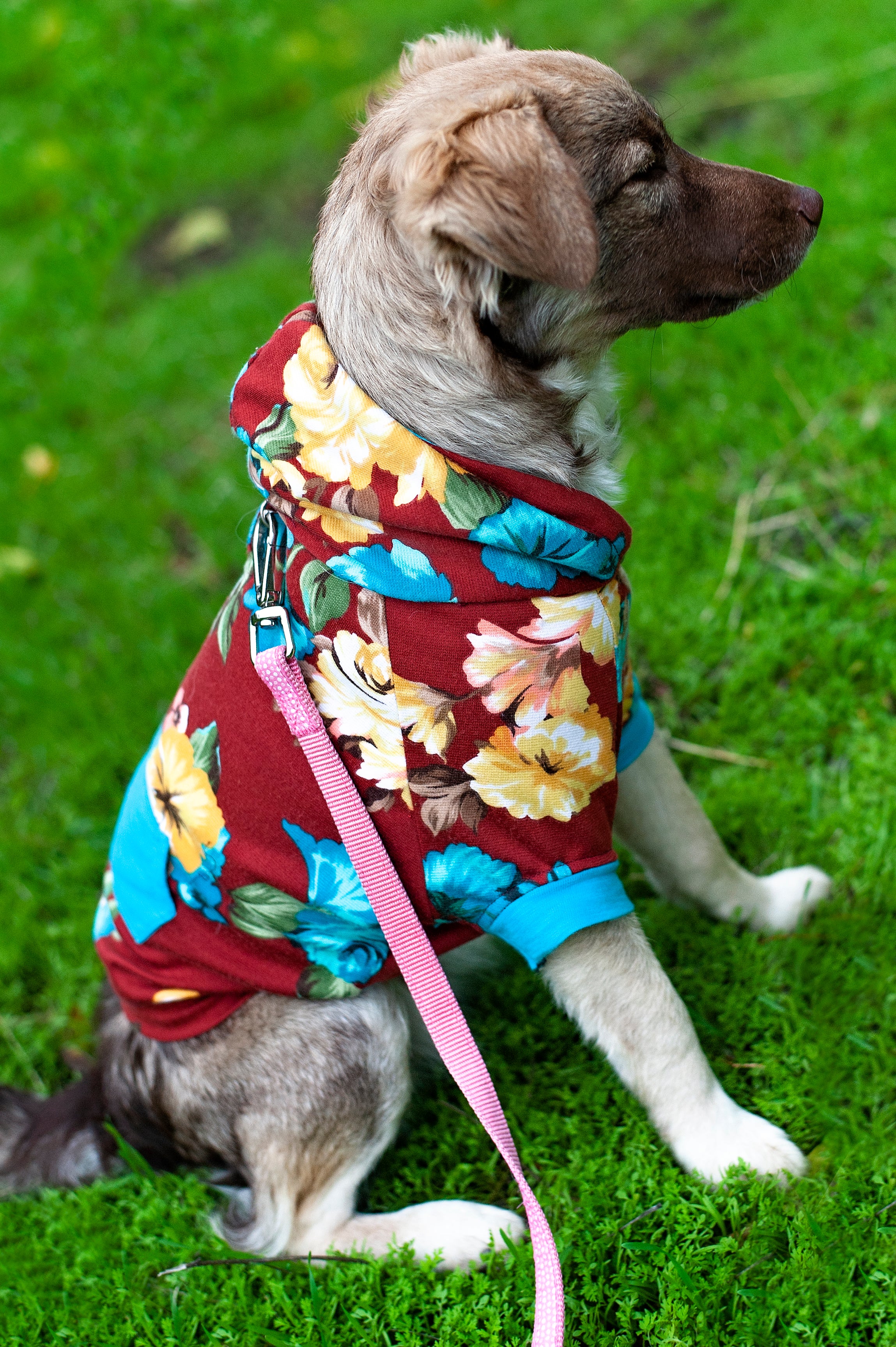 Hoodie Dog Sweater Sewing Pattern