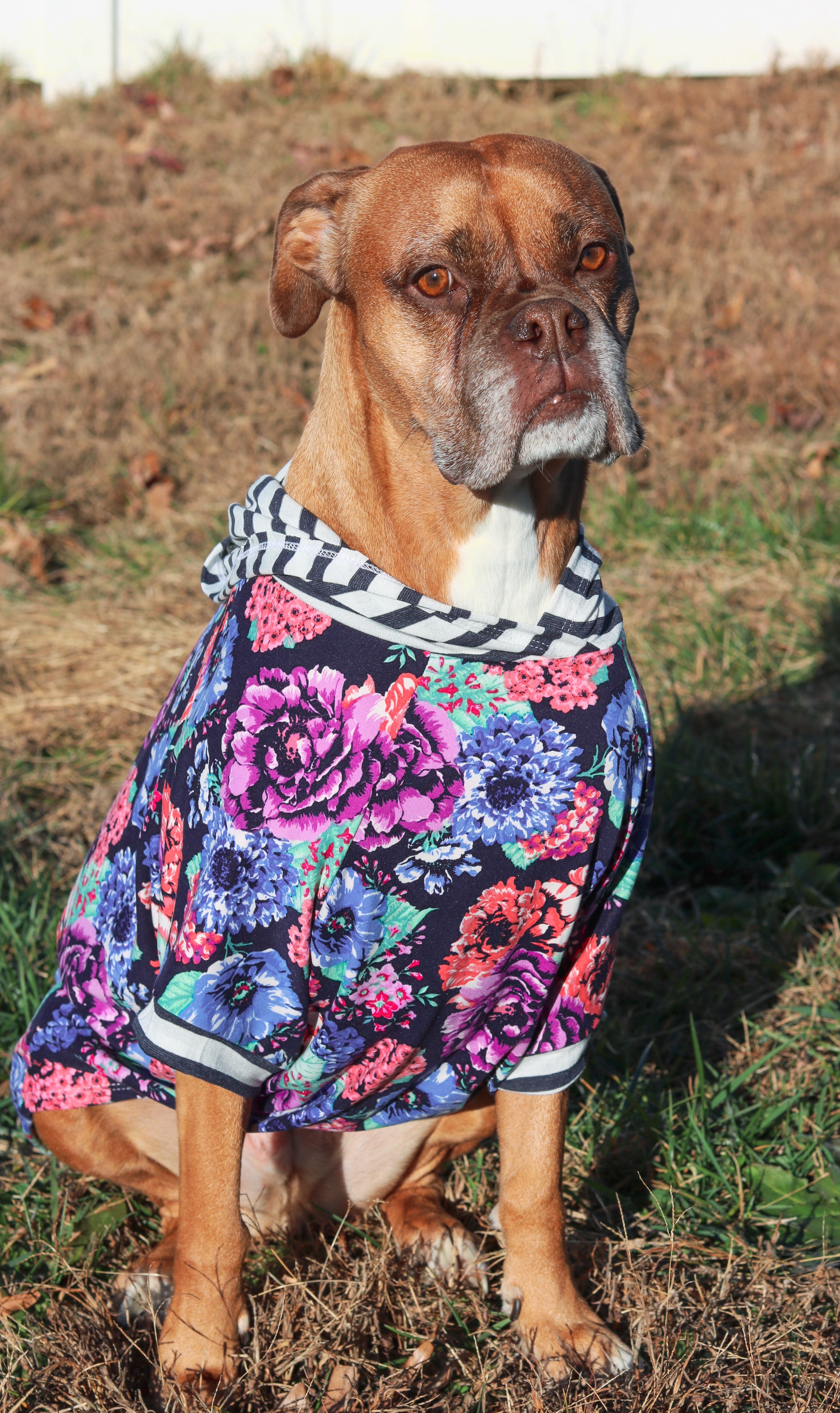 Hoodie Dog Sweater Sewing Pattern