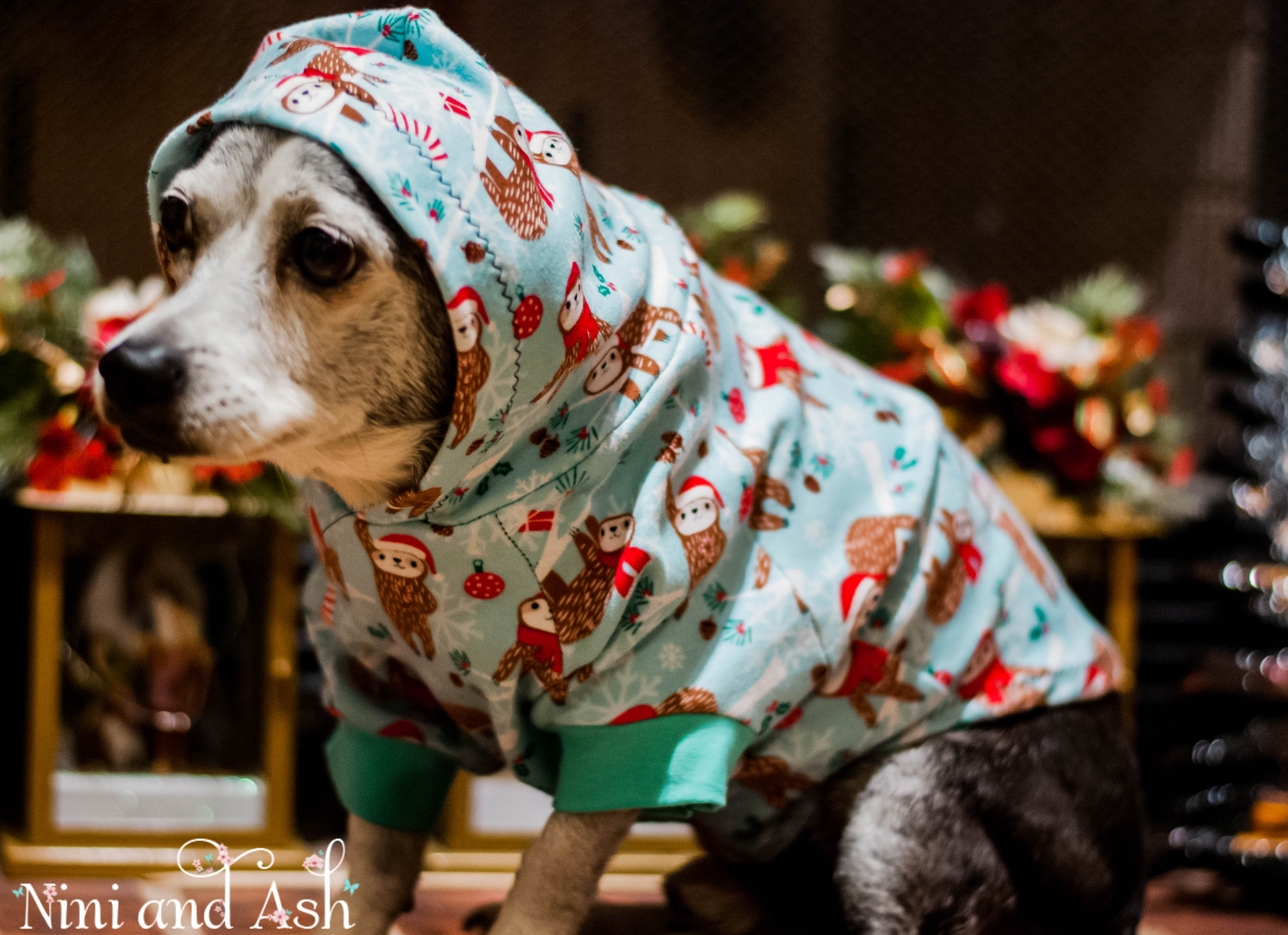 Hoodie Dog Sweater Sewing Pattern