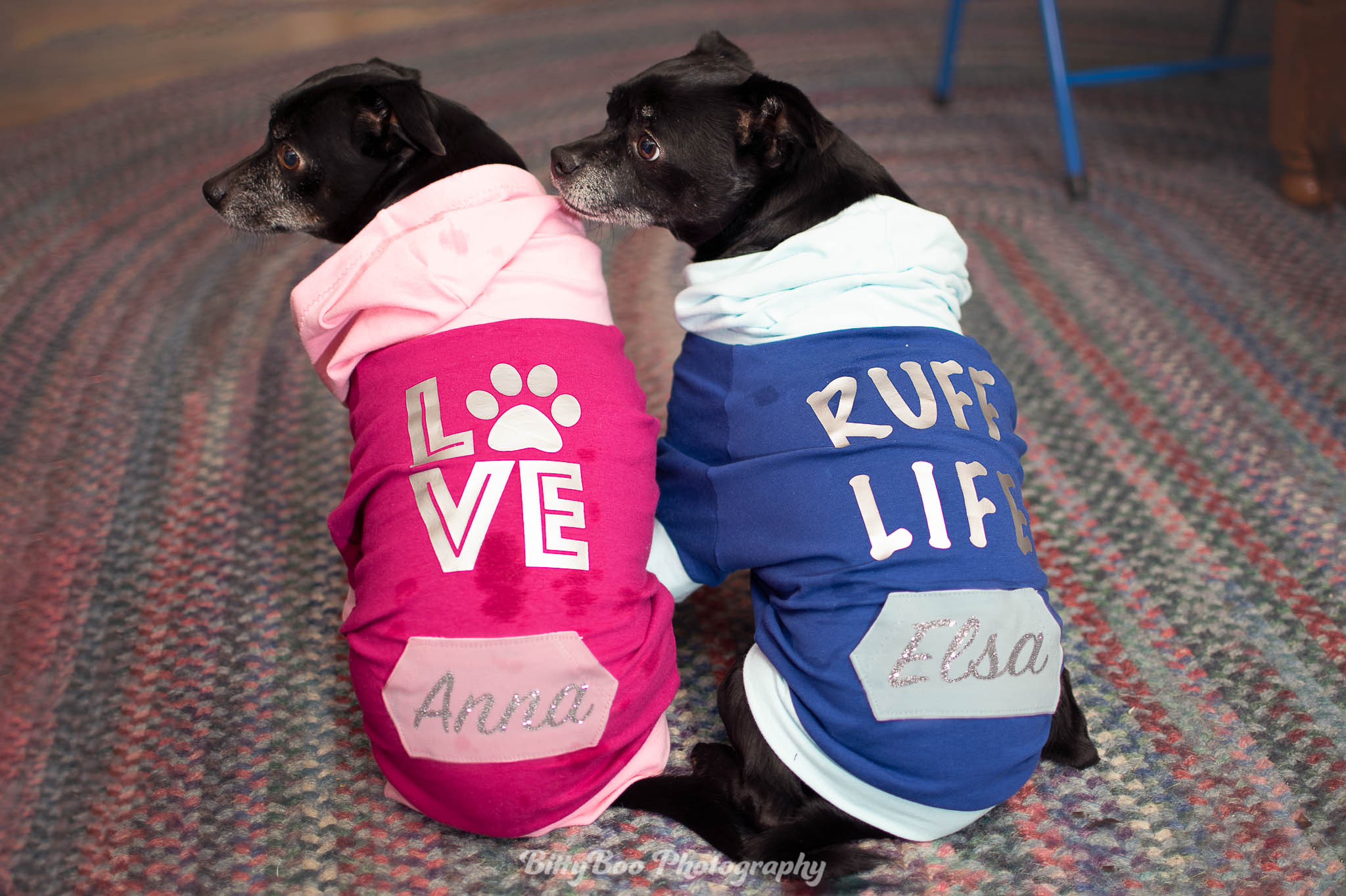 Hoodie Dog Sweater Sewing Pattern