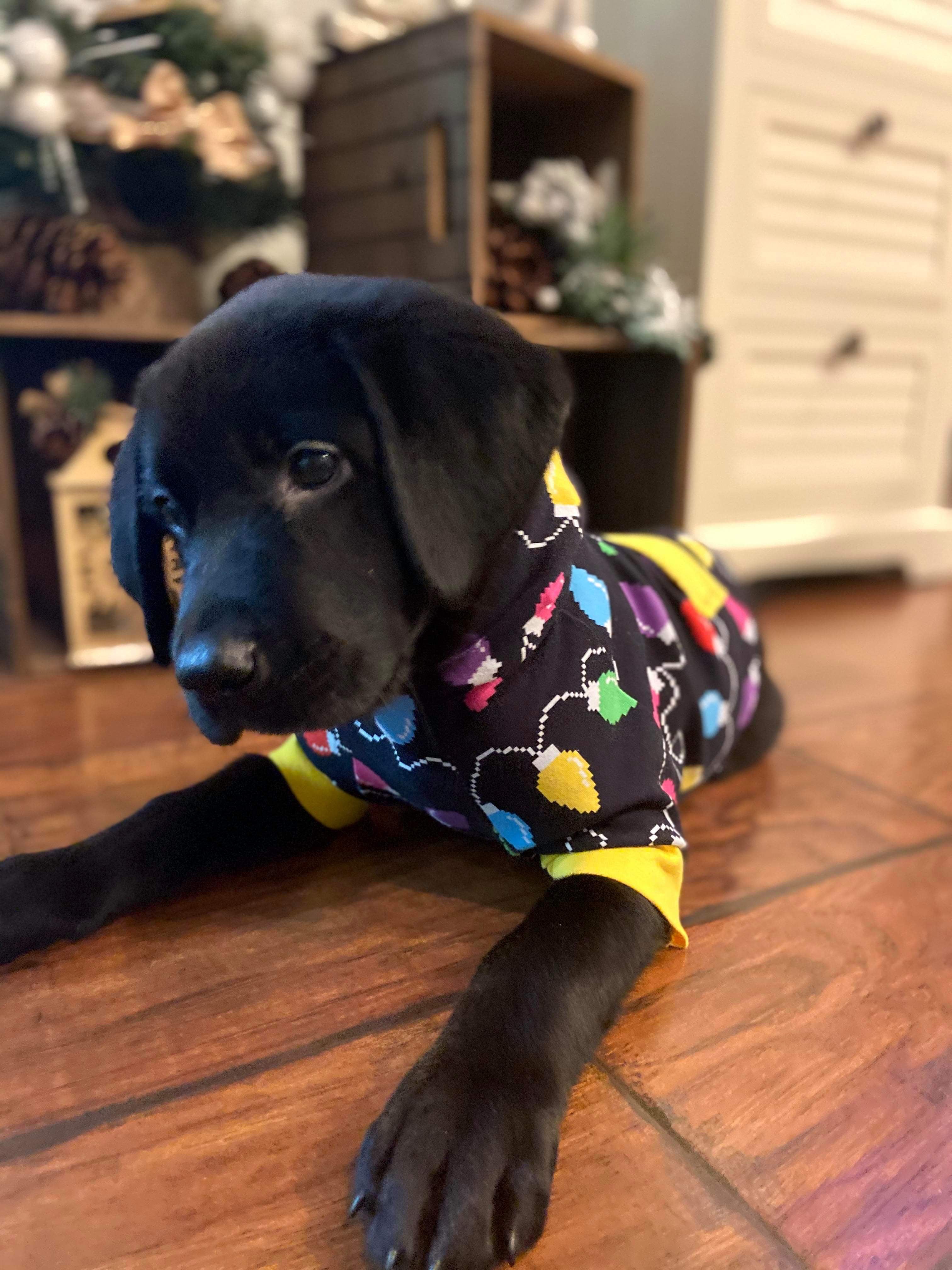 Hoodie Dog Sweater Sewing Pattern