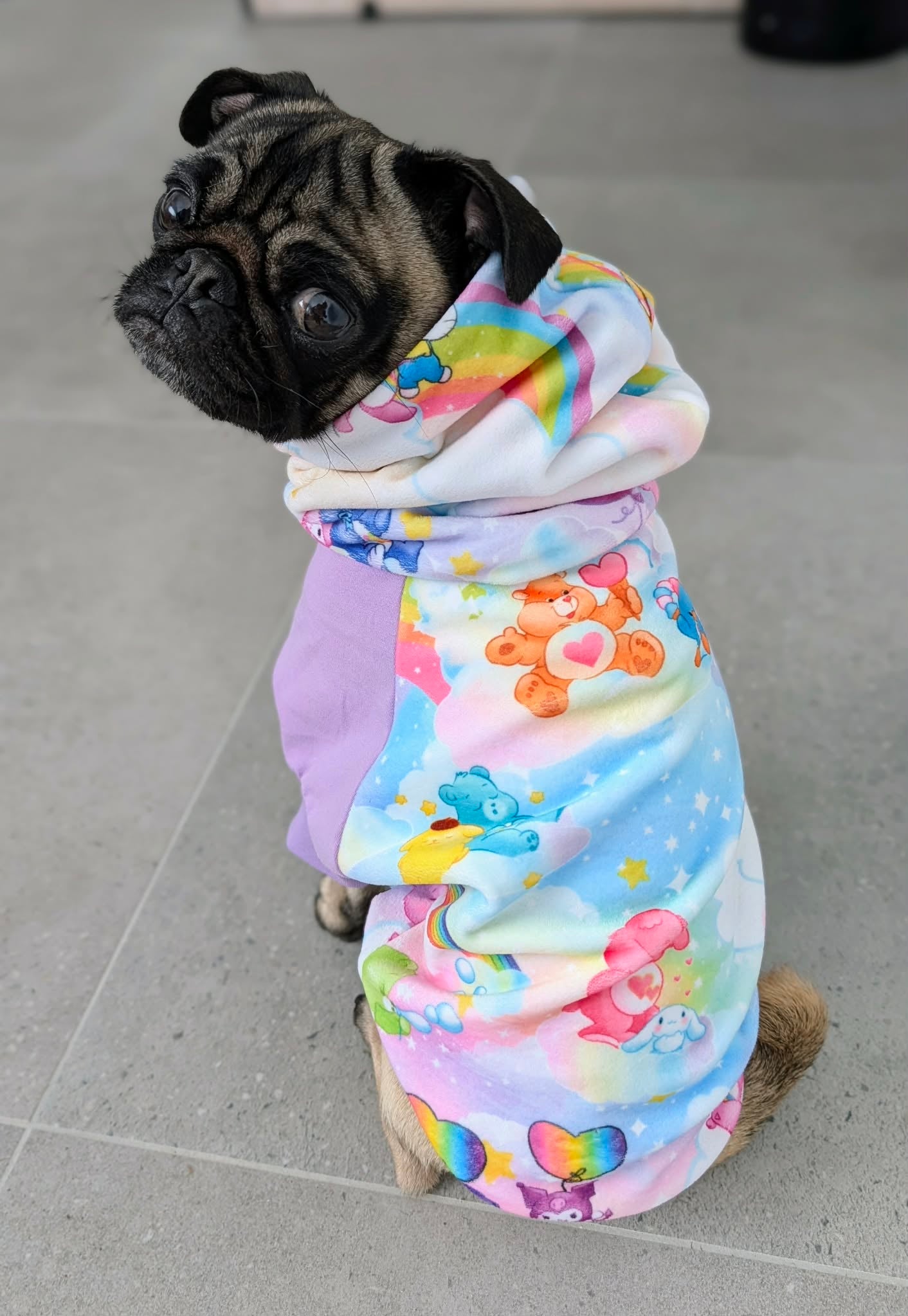 Hoodie Dog Sweater Sewing Pattern