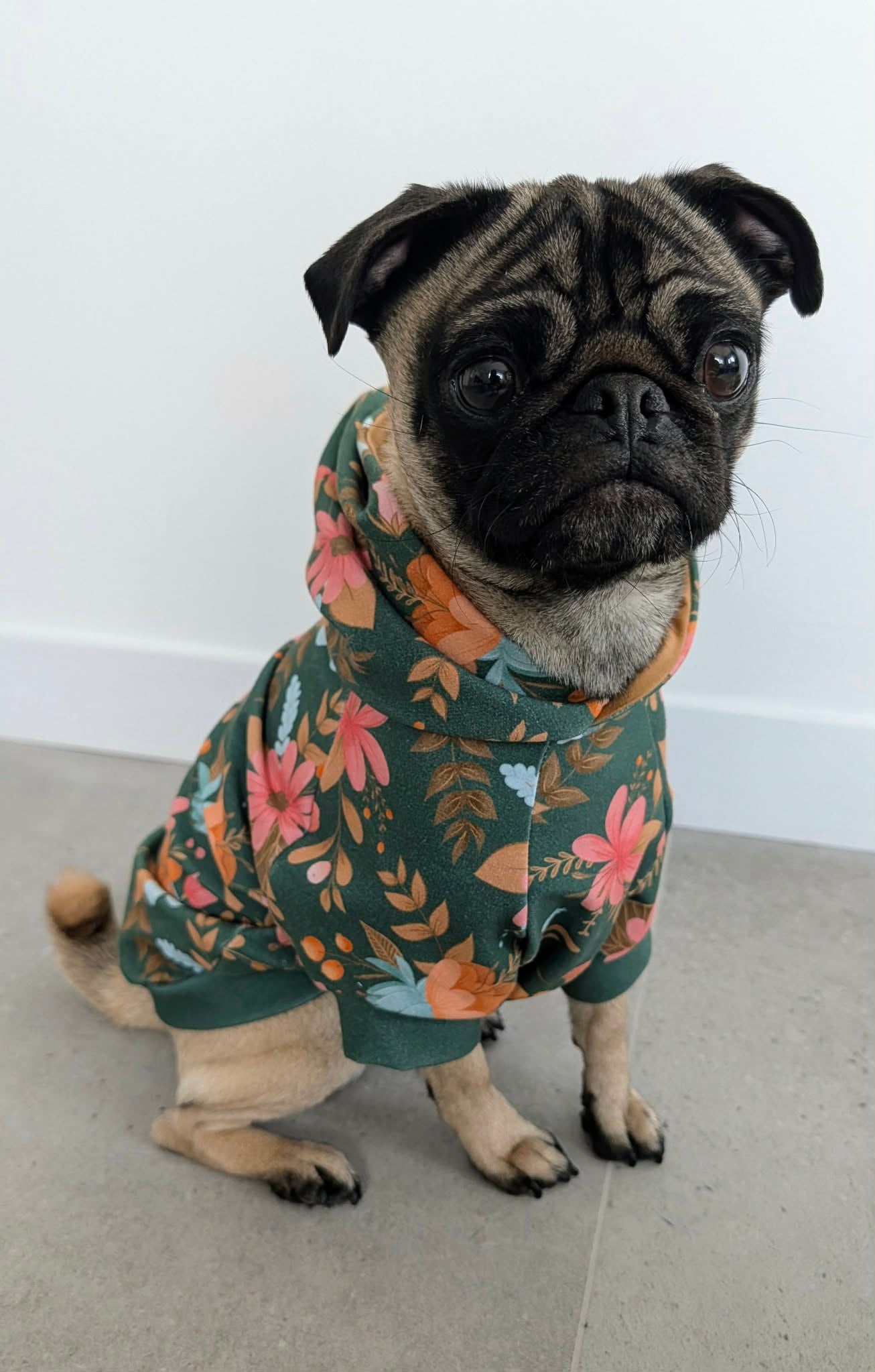 Hoodie Dog Sweater Sewing Pattern