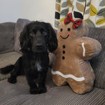 Dog lying next to a gingerbread man-shaped pillow on a couch.