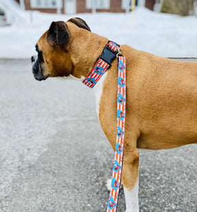 Fur Baby Pet Collar & Lead Pattern