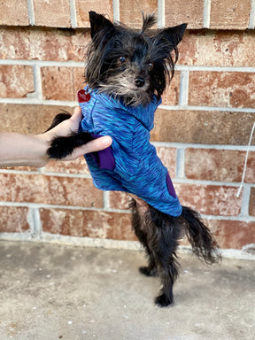 Hoodie Dog Sweater Pattern