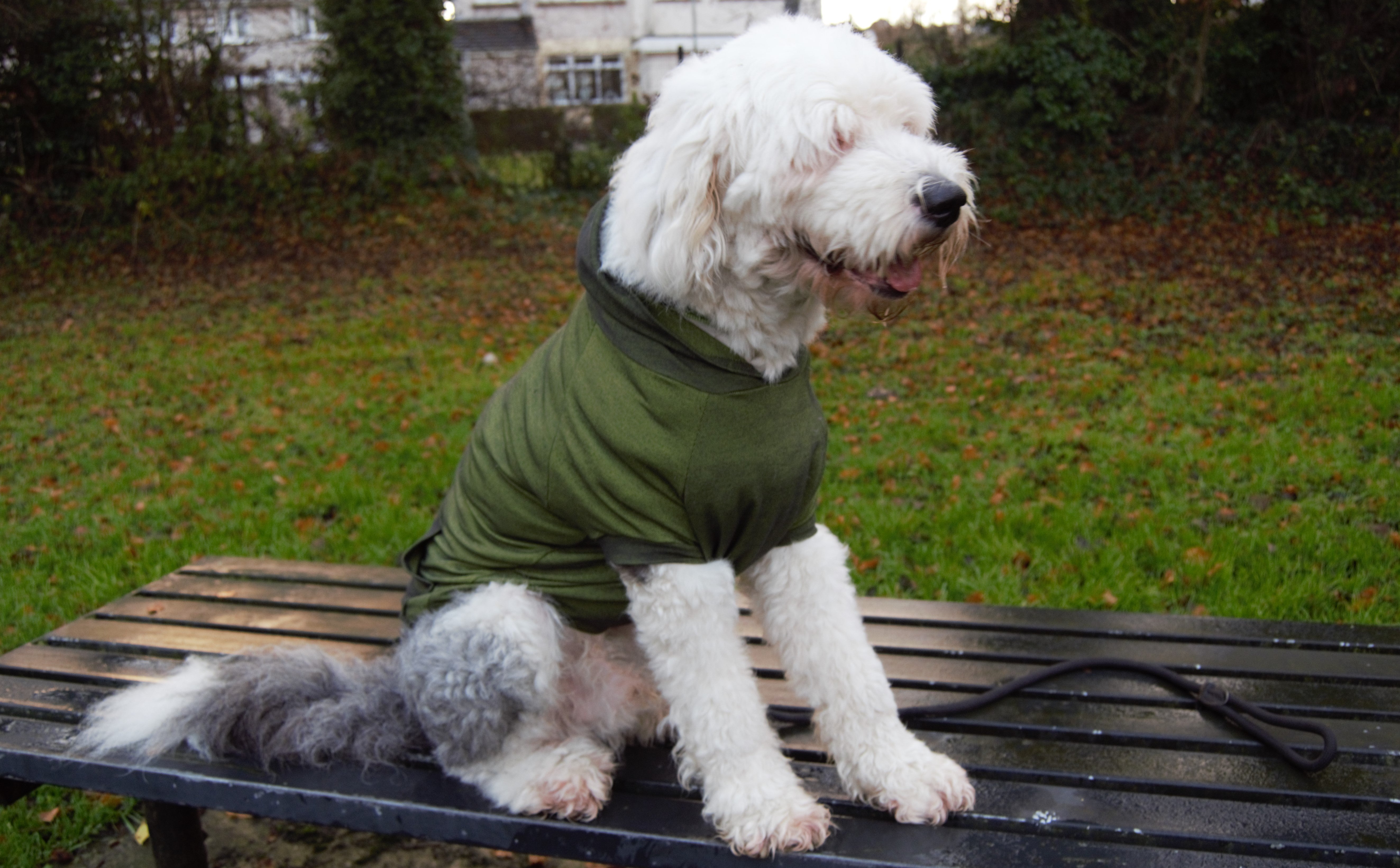 Hoodie Dog Sweater Pattern