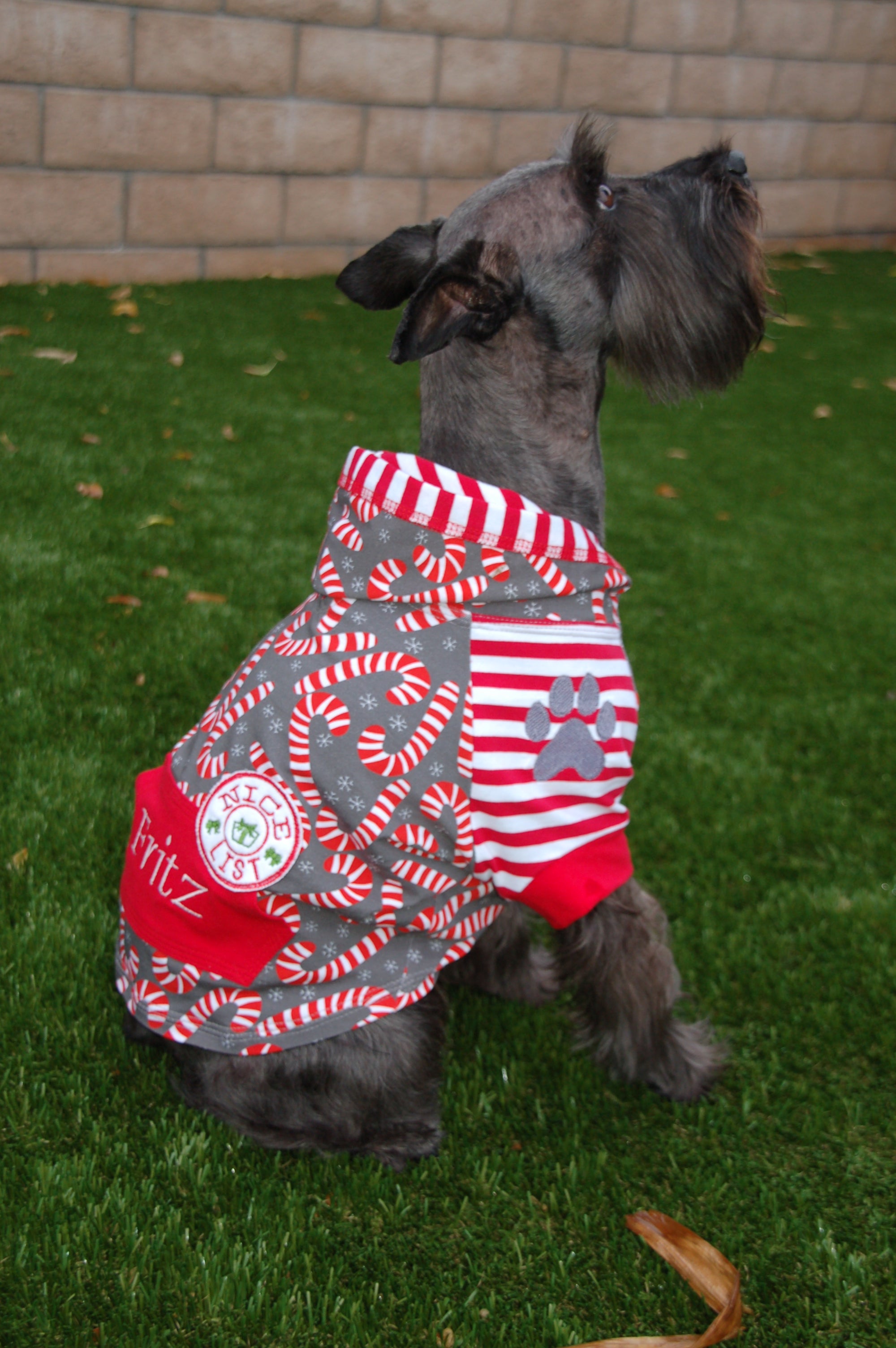Hoodie Dog Sweater Pattern