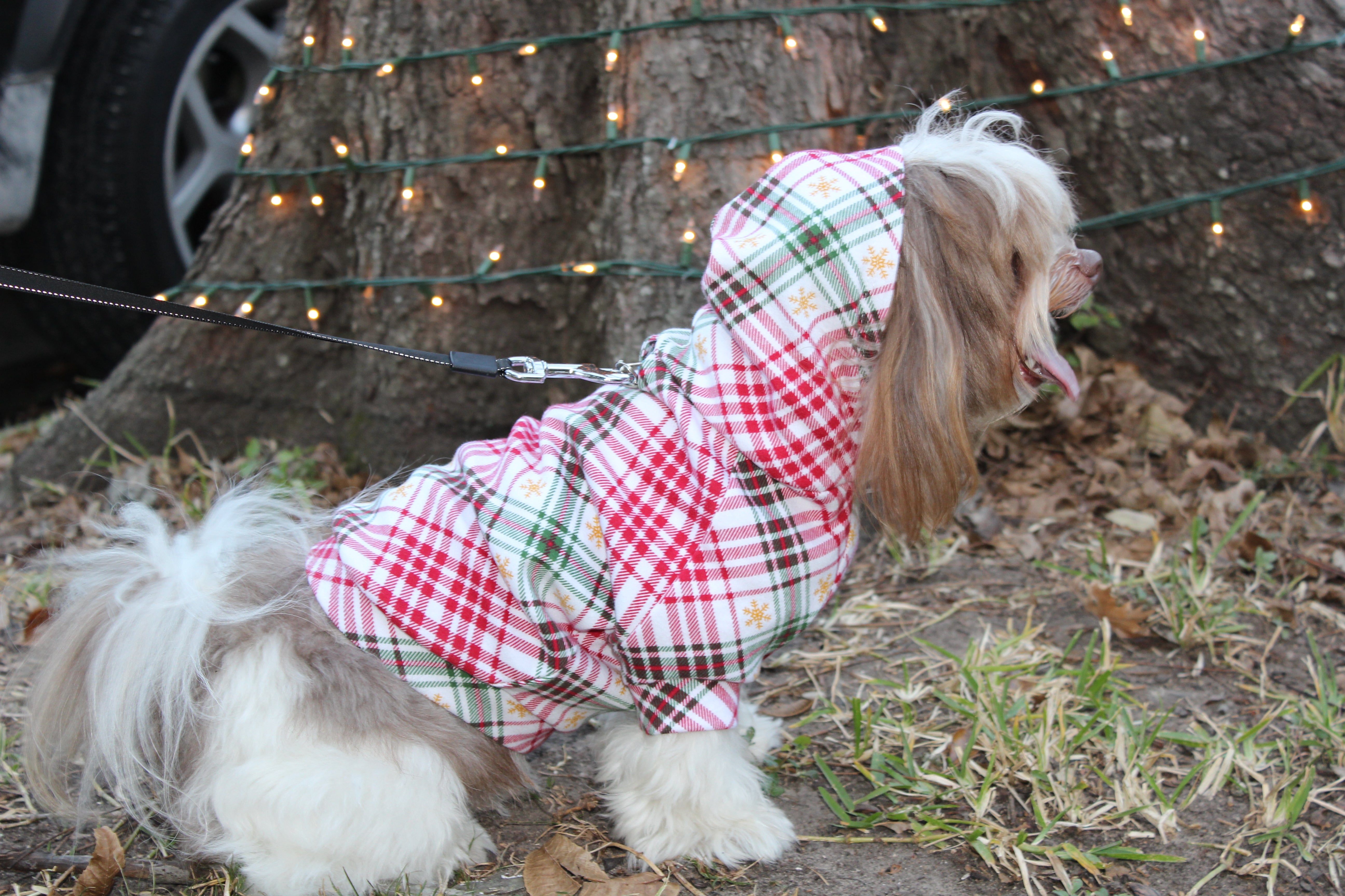 Hoodie Dog Sweater Pattern