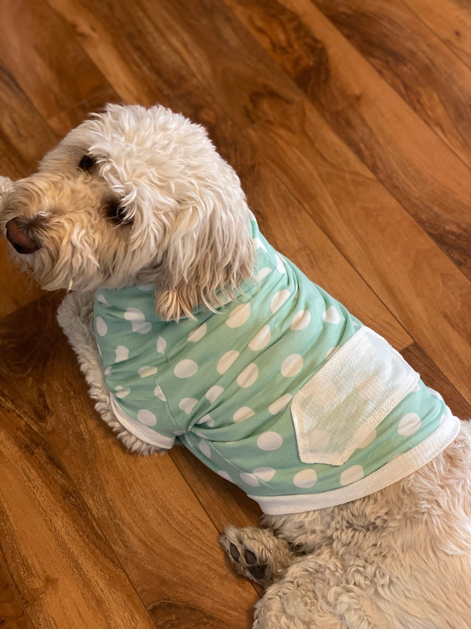 Hoodie Dog Sweater Pattern