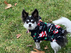 Hoodie Dog Sweater Pattern