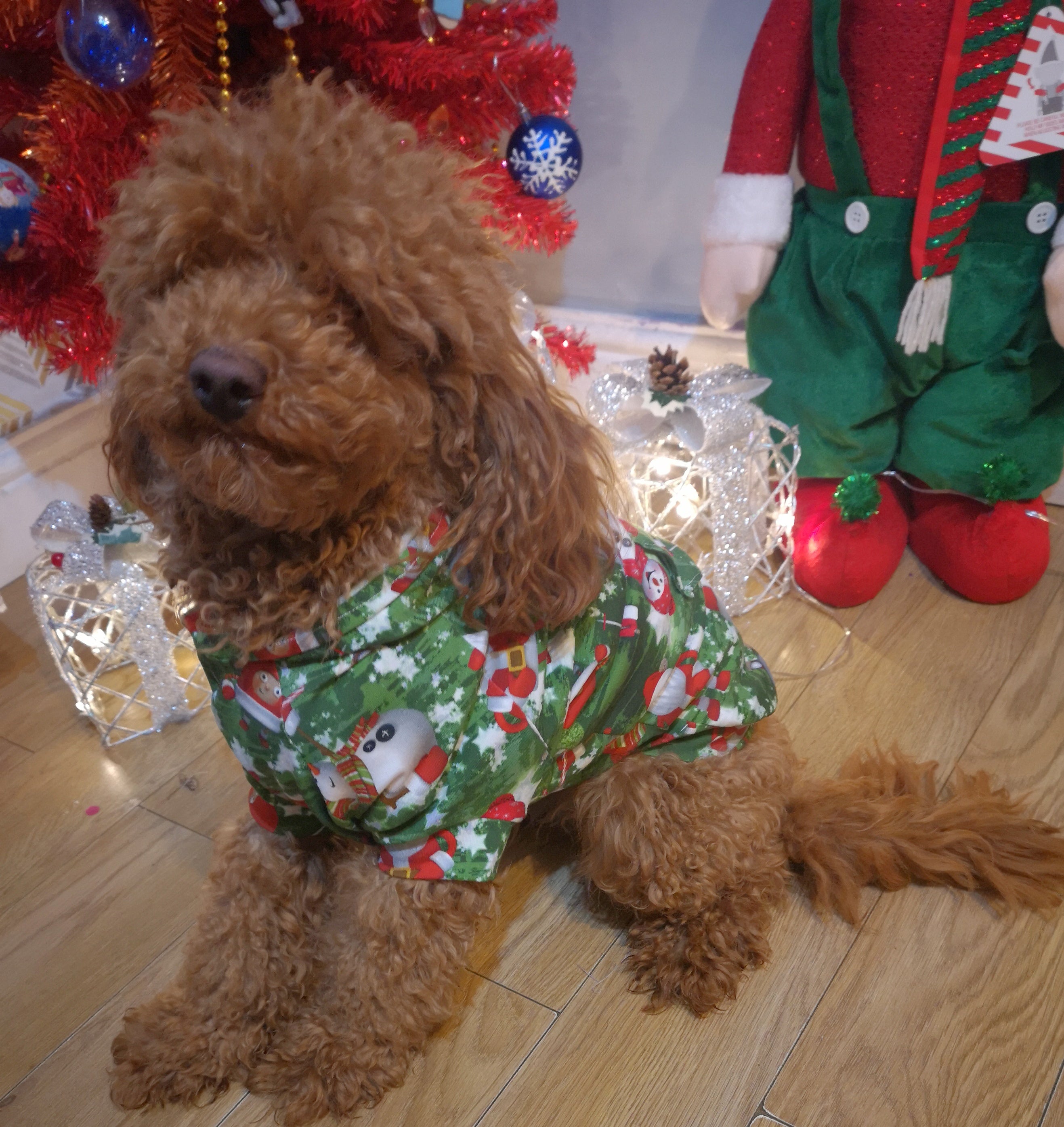 Hoodie Dog Sweater Pattern